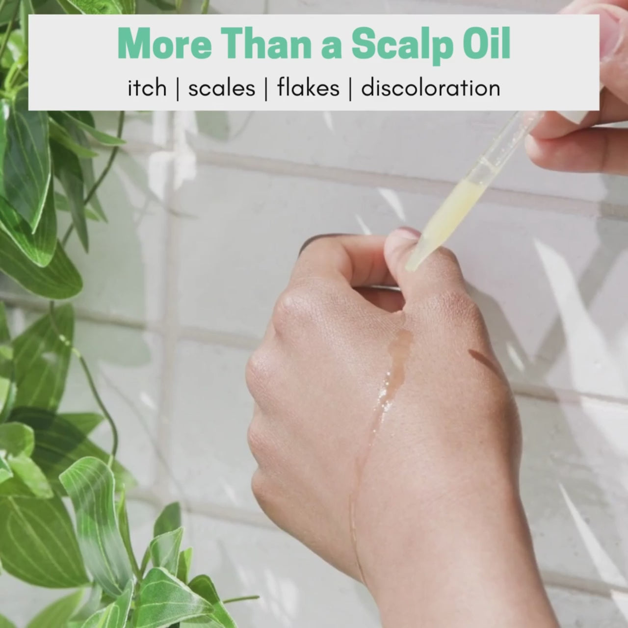 Seborrheic Itchy Scalp Solution | Herbal Probiotic Leave-in