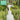 Good Biome Scalp Renew Bundle | Microbiome-friendly
